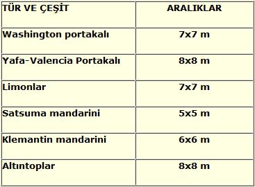 Ad:  turuncgil1.jpg
Gsterim: 339
Boyut:  19.5 KB