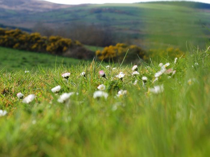 Ad:  field-with-wild-flowers-1024-768-6409.jpg
Gsterim: 193
Boyut:  42.1 KB