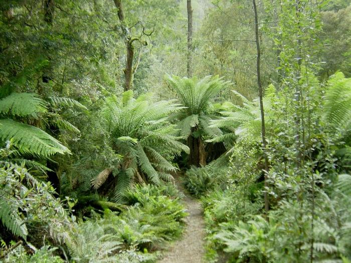 Ad:  800px-Hellyer_Gorge,_Tasmania.jpg
Gsterim: 188
Boyut:  97.8 KB