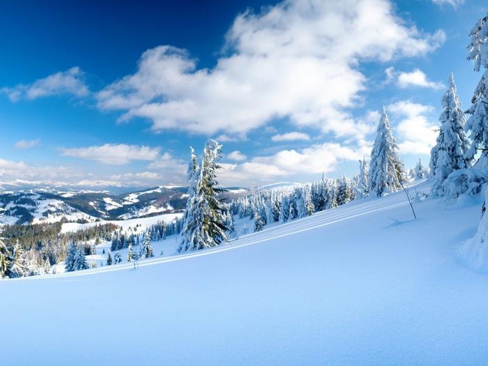 Ad:  snow-is-everywhere-wallpaper-1024-768-6490.jpg
Gsterim: 133
Boyut:  46.3 KB