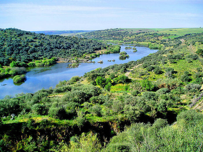 Ad:  800px-Guadiana_river.jpg
Gsterim: 202
Boyut:  171.1 KB