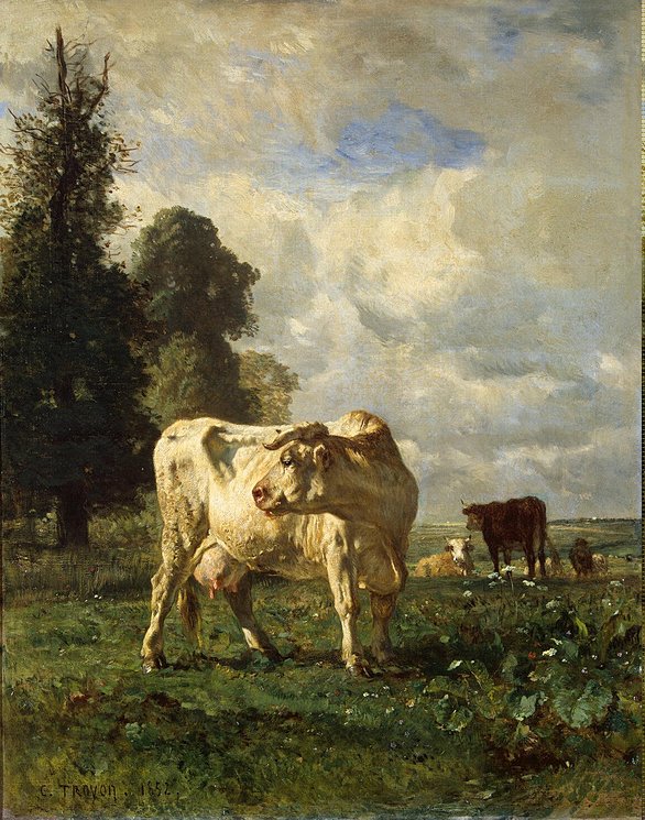 Ad:  Cows-in-the-Field.jpg
Gsterim: 246
Boyut:  133.2 KB