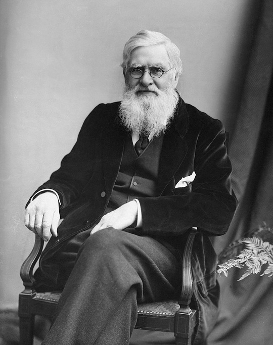 Ad:  Alfred Russel Wallace.jpg
Gsterim: 291
Boyut:  126.4 KB