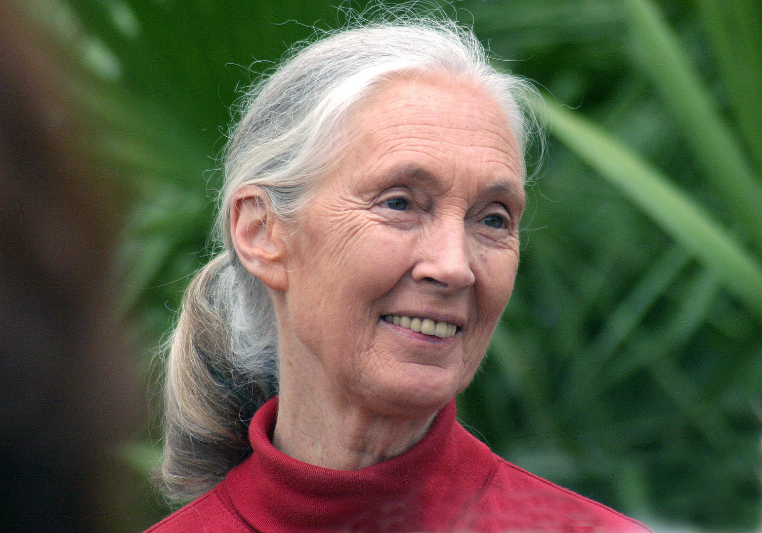 Ad:  Jane Goodall.jpg
Gsterim: 1398
Boyut:  289.0 KB