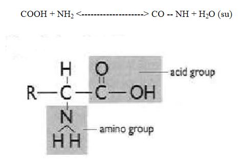 Ad:  aminoasit3.JPG
Gsterim: 2704
Boyut:  21.2 KB