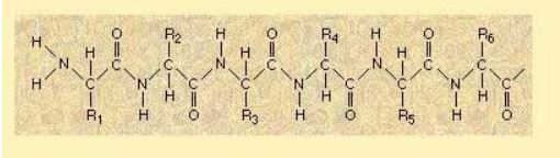Ad:  aminoasit8.JPG
Gsterim: 1893
Boyut:  23.3 KB