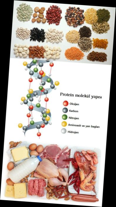Ad:  protein1.JPG
Gsterim: 3520
Boyut:  49.5 KB