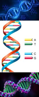 Ad:  DNA3.jpg
Gsterim: 5162
Boyut:  16.7 KB