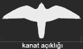 Ad:  kanat_.gif
Gsterim: 145
Boyut:  2.4 KB