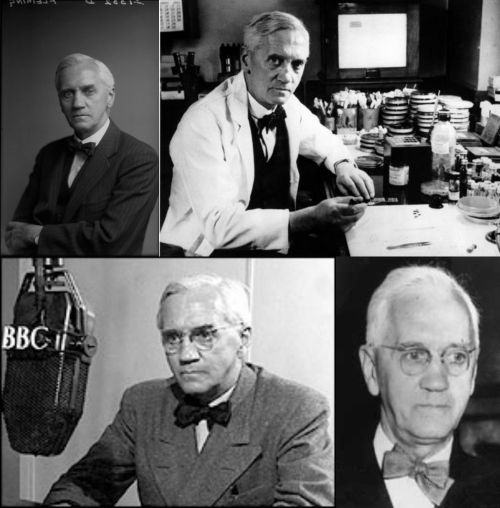 Ad:  Sir Alexander Fleming4.jpg
Gsterim: 1766
Boyut:  42.8 KB