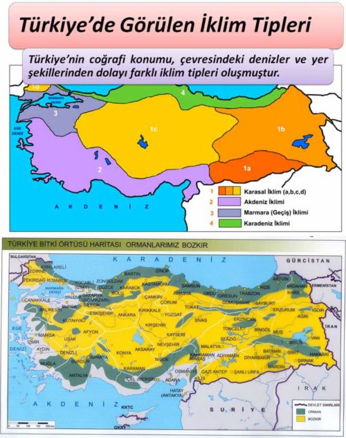 Ad:  Trkiye'nin klimi ve Bitki rts1.jpg
Gsterim: 25570
Boyut:  72.3 KB