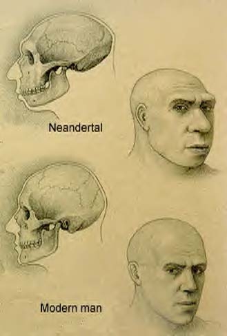 Ad:  neanderthal-man.jpg
Gsterim: 731
Boyut:  57.8 KB